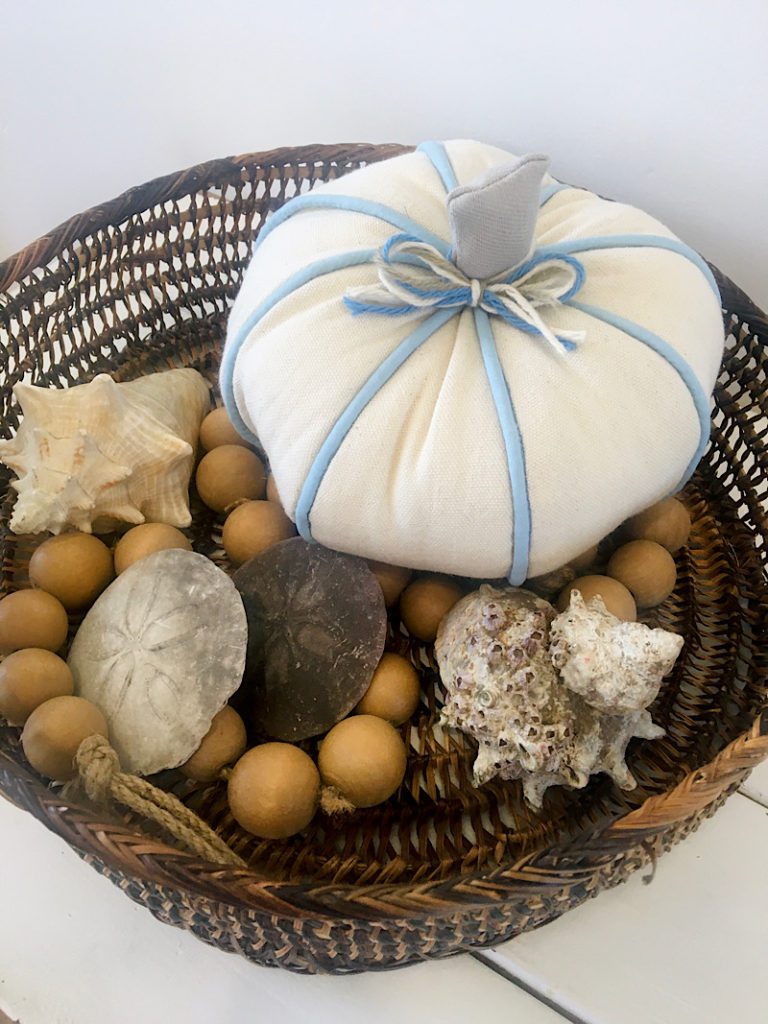 Coastal pumpkin in basket with shells