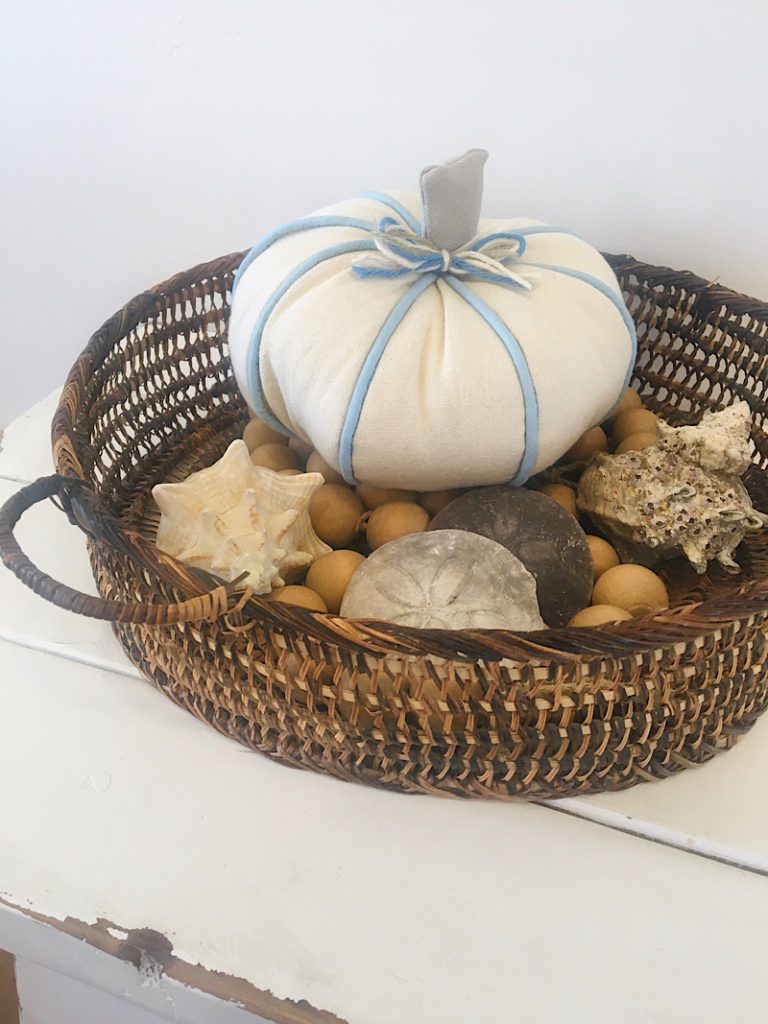 coastal pumpkin and sea shells