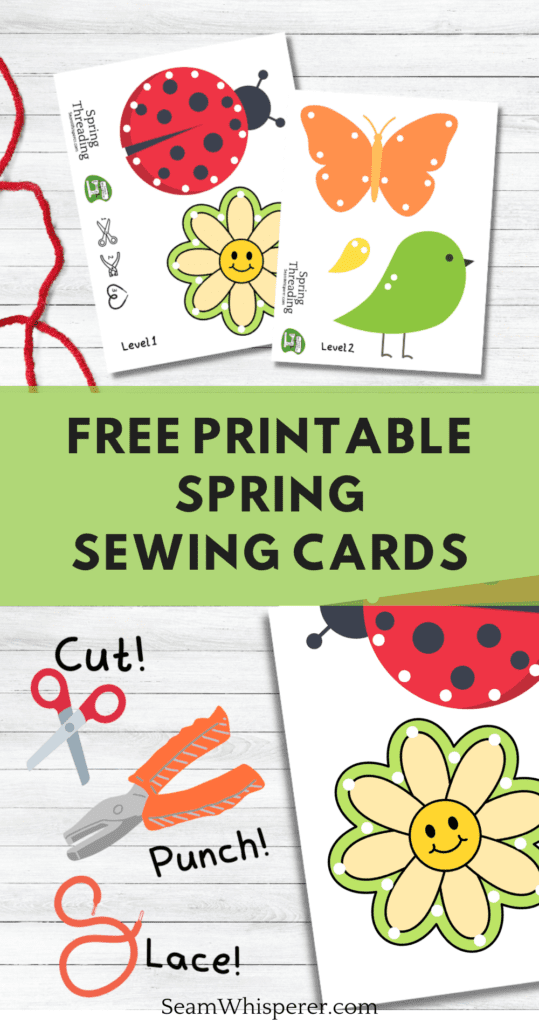 Spring lacing cards with a lady bug, daisy, butterfly, and bird
