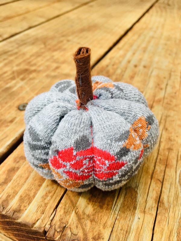 grey sock pumpkin on wood background